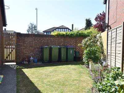 Picture 21